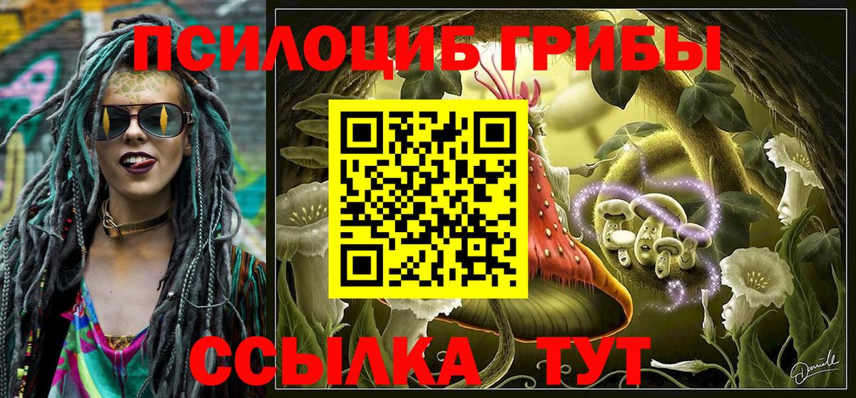 Кузнецк  Галлюциногенные грибы Cubensis  Вход с VPN 